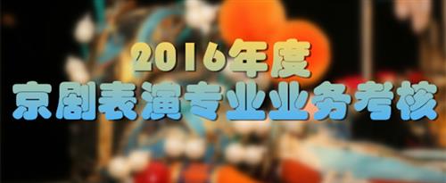 美女网站男生看外国国家京剧院2016年度京剧表演专业业务考...